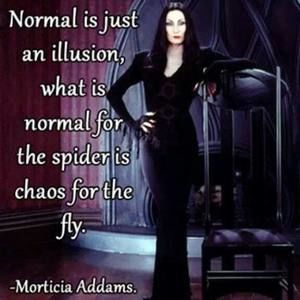 Meet your Posher, Loren